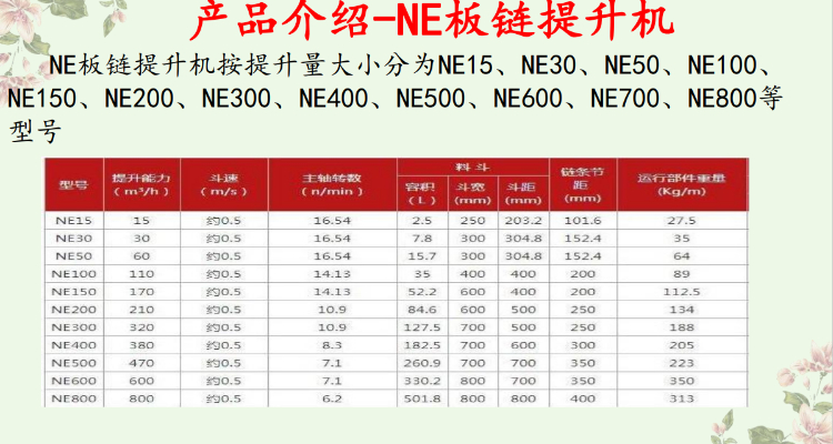 NE參數 